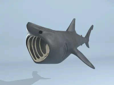 Stylized Basking Shark Low-poly 3D model