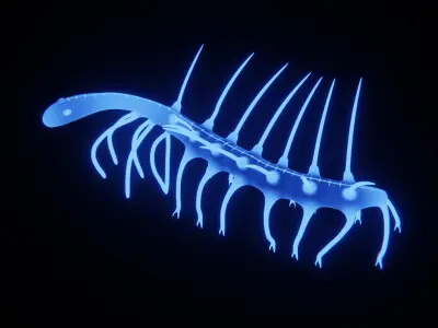 Hallucigenia Free low-poly 3D model