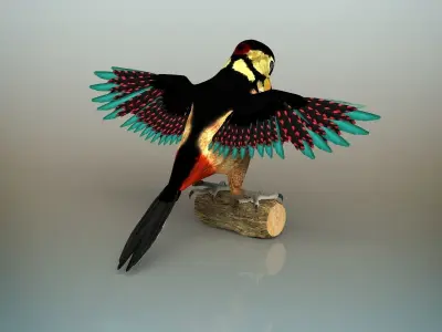 Woodpecker Bird 3D model