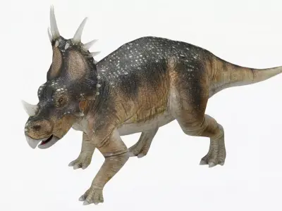 Styracosaurus No rigging 2K textures Low-poly 3D model