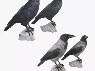 Raven Collection pair of crow statues 3D model