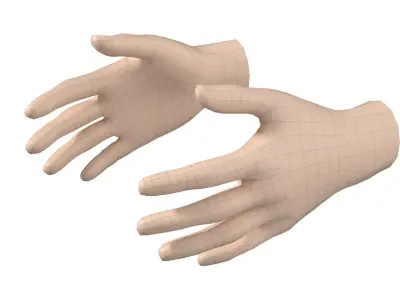 Female Hand Base Mesh 06 3D model