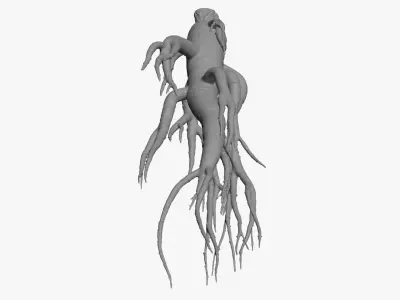 Ginseng for 3D Print 3D model