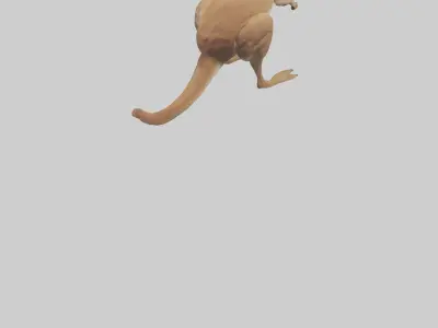 Kangaroo hopping model Low-poly 3D model