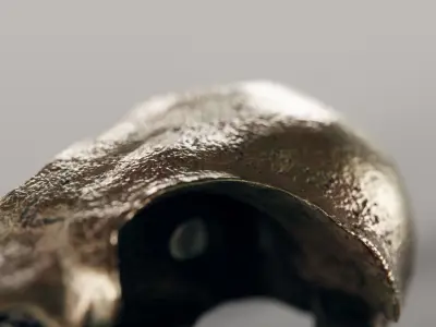 crow skull - bronze 3D model