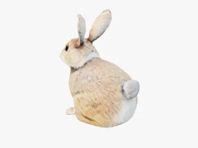Rabbit Free 3D model