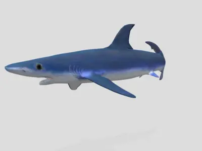 Blue Shark Realistic Animated Low-poly 3D model