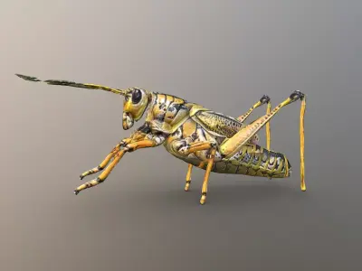 Grasshopper 3D model