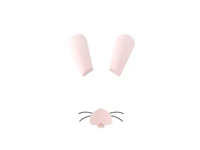 Rabbit Face 3D model