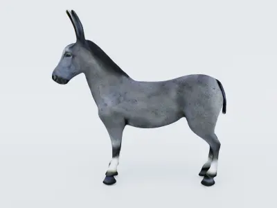 Donkey Free 3D model