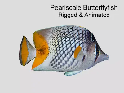 Pearlscale Butterflyfish Realistic Animated Low-poly 3D model
