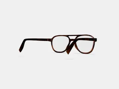 Fielder Eyeglasses in Cognac Tortoise Matte 3D model