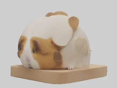 Guinea Pig hiding model Low-poly 3D model