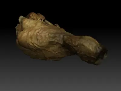 Chicken Drumstick 3D model