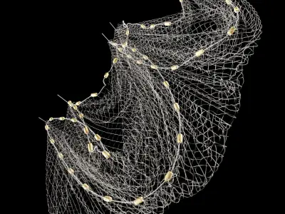 Fishnet fish net 3D model