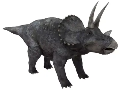 triceratops dinosaur Low-poly 3D model
