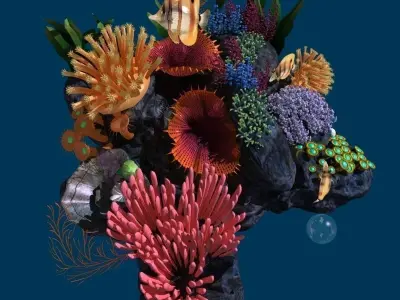 Coral reef transparent 3D model