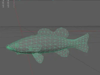 Seabass Low-poly 3D model