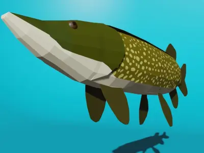 Pike Predator Low-poly 3D model