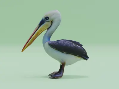 Baby Pelican Cute Low-poly 3D model