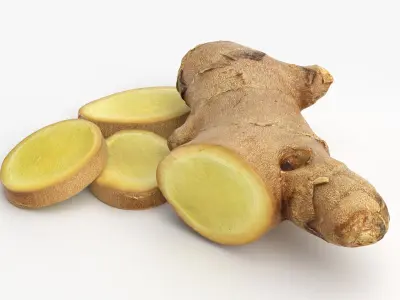 Fresh Ginger Root Slices 2 3D model