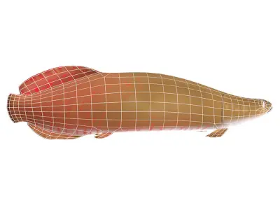 Pirarucu Animated Fish  Low-poly 3D model