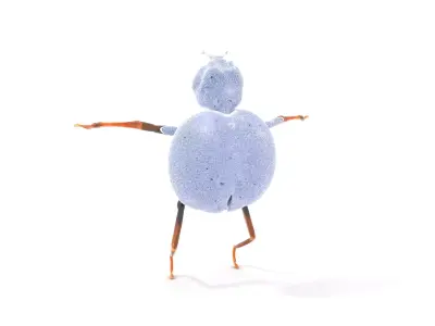 Red Ladybug Insect model pack Low-poly 3D model