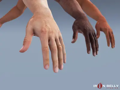 AAA Animated FP Arms Pack  Low-poly 3D model