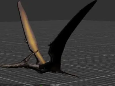 Pterodactyl Asset Pack Low-poly 3D model