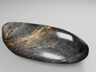 Mussel 3D model