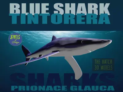 Blue Shark 3D model