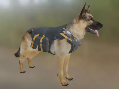 Dog   jerman seaford  3D model