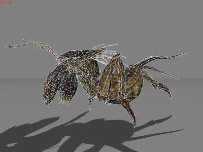 Cricket Animal  Low-poly 3D model