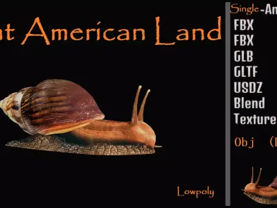 Giant African Land Snail Low-poly 3D model