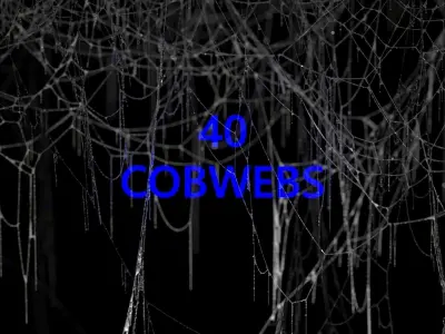 40 High Detailed COBWEBS 3D model