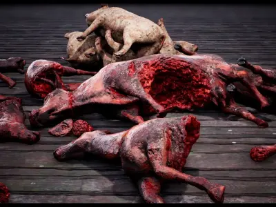 Death animals body parts collection  Low-poly 3D model
