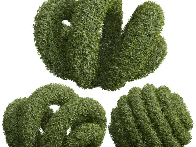 New Plant Ligustrum Quihoui Privet Pruned02 3D model