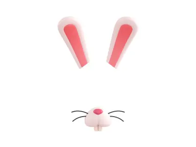 Rabbit Face 3D model