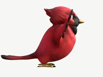 Cardinal Cartoon Bird Low-poly 3D model