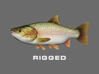 Low-Poly Rainbow Trout Animated Low-poly 3D model