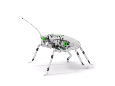 Cyber Insect Metallic model pack Low-poly 3D model