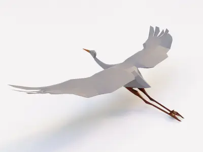 Crane bird 3d model  Low-poly 3D model