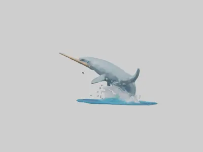 Narwhal breaching model Low-poly 3D model
