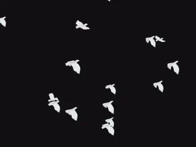 Flock White Bird Animated Swarm Dove Shoal Birds Seagull Low-poly 3D model
