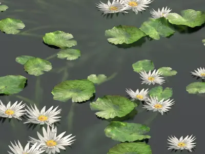 Water lily flower Low-poly 3D model