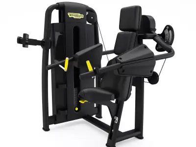 Technogym - Selectorised - Delts Machine 3D model