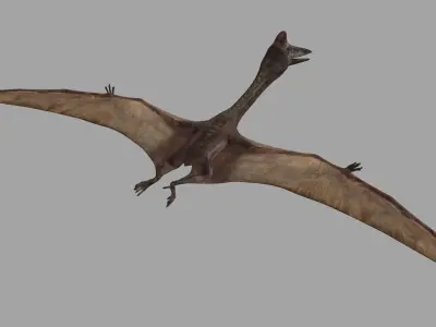 Quetzalcoatlus HD - 3d animated model Low-poly 3D model