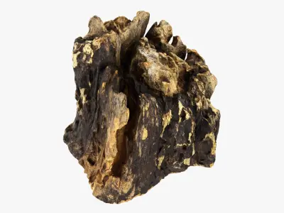 Tree Trunk Piece 14 3D model