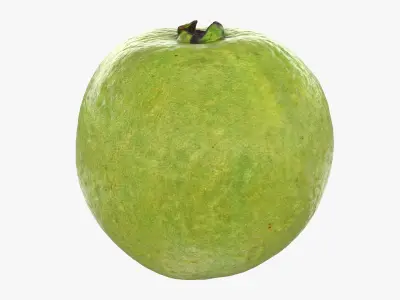 Whole Pink Guava 3D model