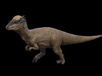 Pachycephalosaurus - Thick-Headed Lizard Low-poly 3D model